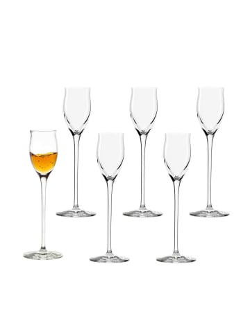 Stölzle 6er Set Edelbrandgläser Quatrophil 65 ml transparent in transparent