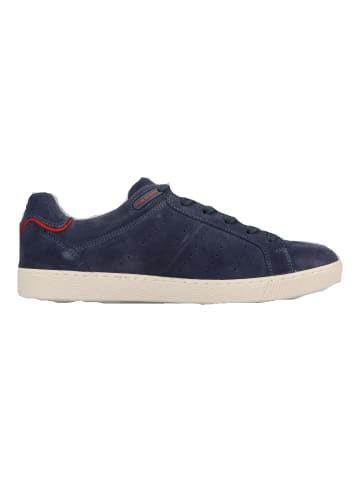 Pius Gabor Sneaker in Blau/Rot