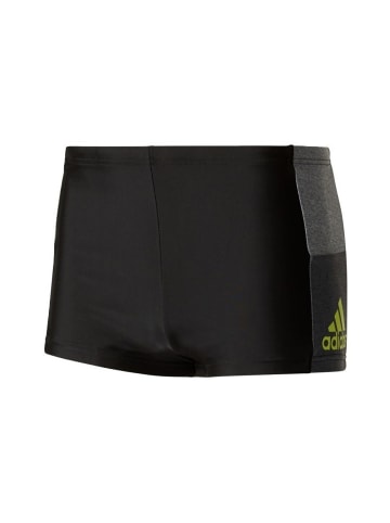 adidas Badehose in Grau
