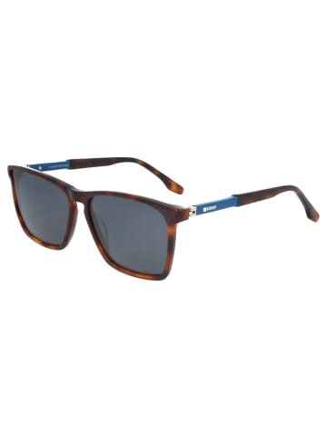 Kodak Sonnenbrille in Brown