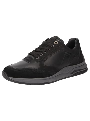 Sioux Sneaker Turibio-713-J in schwarz