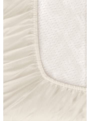 Bierbaum Biber Spannbettlaken 140x200cm Laken Baumwolle in Beige