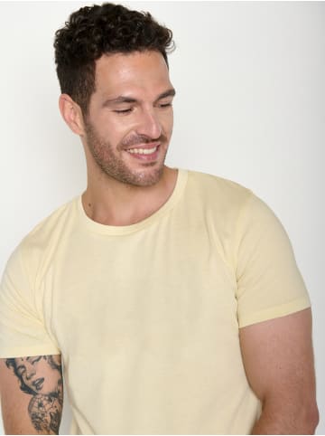 GreenBomb Guide Basic in Vanilla Ice