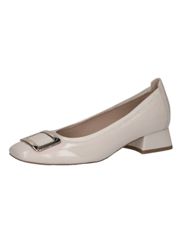 Caprice Pumps in Beige Lack