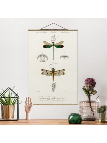 WALLART Stoffbild mit Posterleisten - Vintage Lehrtafel Libellen in Creme-Beige
