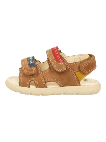 Geox Sandalen in Caramel