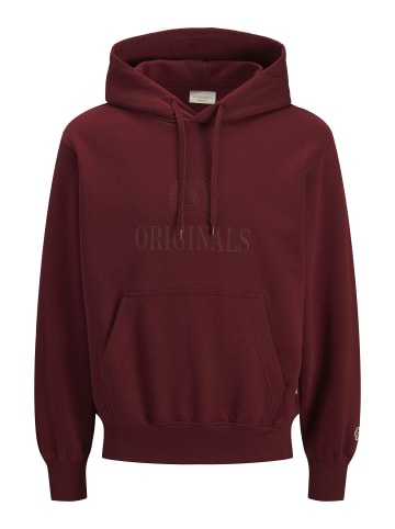 JACK & JONES PLUS Kapuzenpullover in Chocolate Truffle