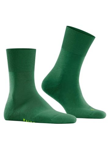 Falke Socken 1er Pack in Dunkelgrün