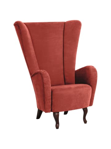 others HOCHLEHNSESSEL Kailey Bezug Velourstoff Buche nussbaum dunkel / terracotta