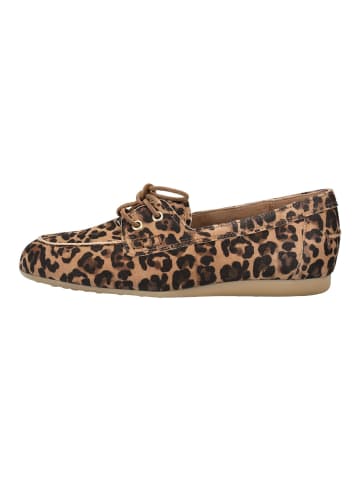 Paul Green Halbschuhe in Leopard