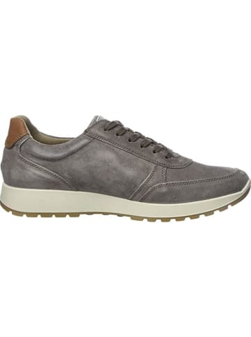 ara Schnürschuhe in beige