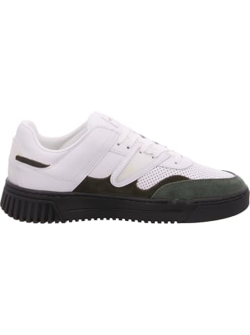 Scotch & Soda Sneaker New Cup in Weiß