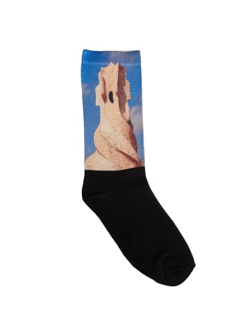 Jenes Socks Socken in Multicolored