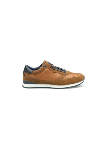 LLOYD Sneaker für Herren in braun