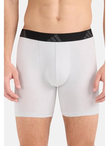 Adidas Sportswear Long Short / Pant Active Flex Cotton in Lila
