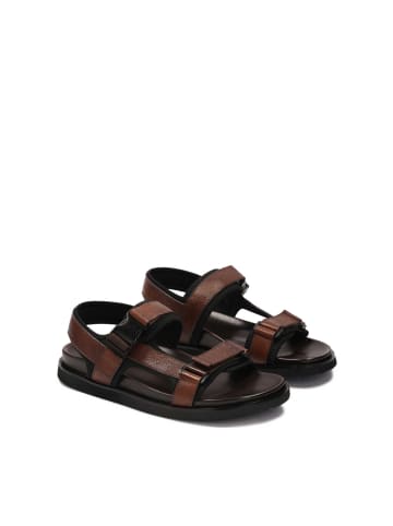 Kazar Pantoletten in Braun