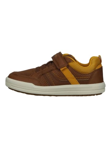 Geox Sneaker in Cognac