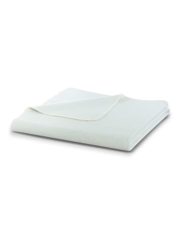 biederlack Wohndecke Basic in Pearl Aqua