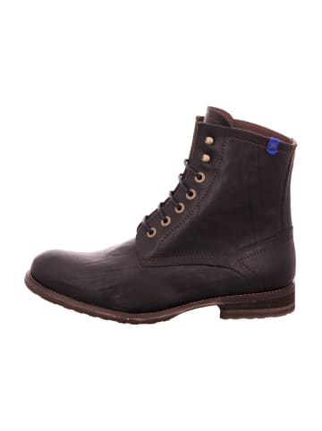 Floris van Bommel Schnürboots in Schwarz