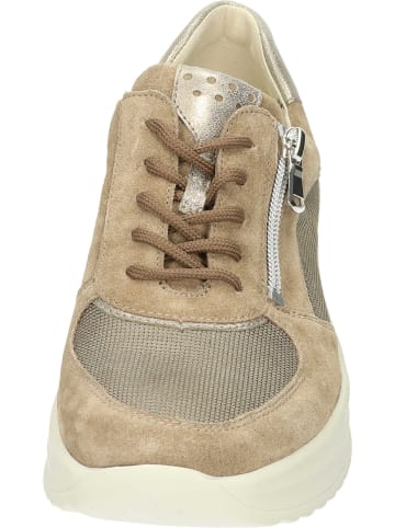 WALDLÄUFER Schnürschuhe in taupe