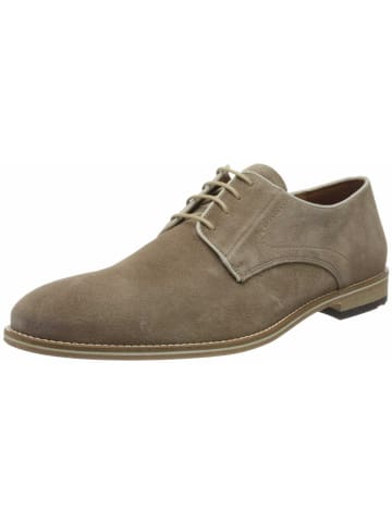 LLOYD Business Schuhe für Herren in taupe