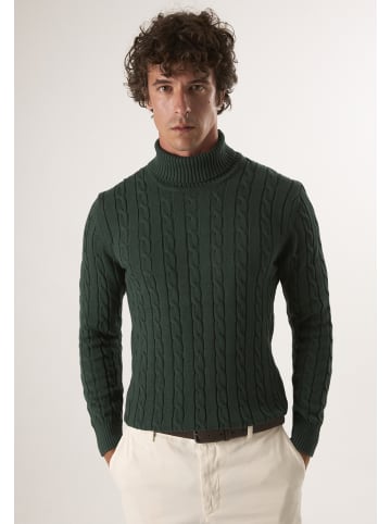 Felix Hardy Pullover in Dunkelgrün