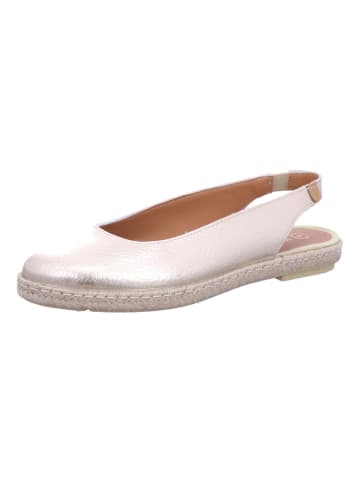 Verbenas Pump in grau