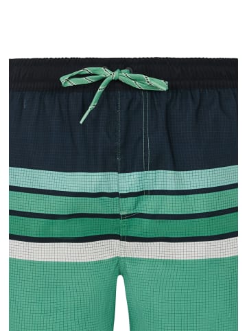 Protest " PRTAvik in Cactus Green