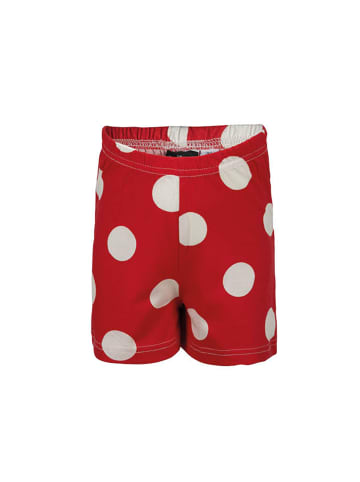 Disney Minnie Mouse 2tlg. Outfit: Schlafanzug kurz Pyjama in Weiß