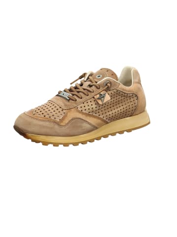 Cetti Sneaker Low in Braun