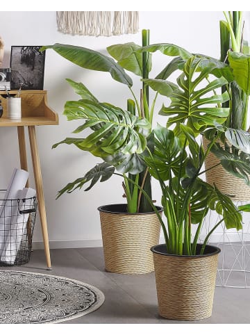 Beliani Kunstpflanze MONSTERA PLANT in Grün/Schwarz - (W) 12 x (H) 113 x (L) 12 cm