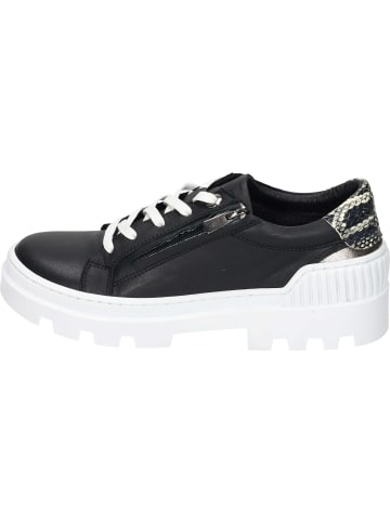 Piazza Sneakers Low in schwarz