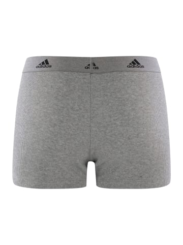 adidas Boxer Fast Dry in Grau