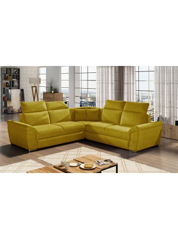 MF Design Fredo in Senf -  (L) 266 x (B) 266 x (H) 102 cm