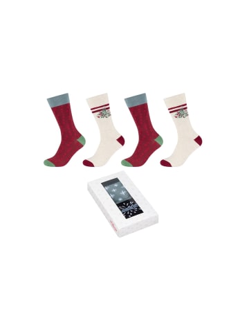 s.Oliver Weihnachtssockenbox 4er Pack birch melange