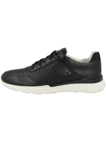 Geox Sneaker low D Hiver B in schwarz