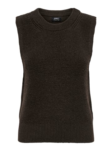 ONLY Pullover ONLPARIS LIFE Crew Neck in Braun