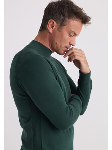 Felix Hardy Pullover in Dunkelgrün