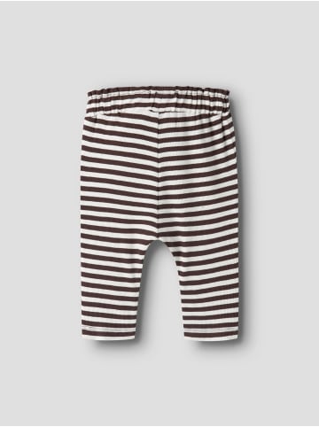 name it Hose in Chicory Coffee1