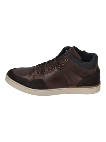 Bullboxer Sneaker High 887K51789BDBNA in braun