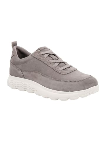 Geox Sneakers Low U Spherica Plus MAN in grau