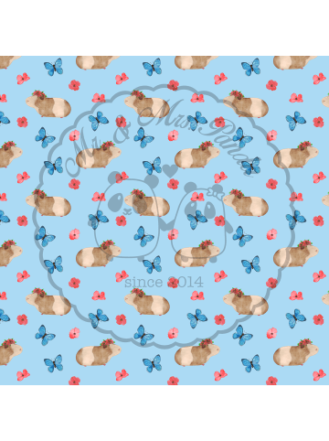 Mr. & Mrs. Panda Kissen 40x40 Meerschweinchen Weisheit ohne Spruch in Blau