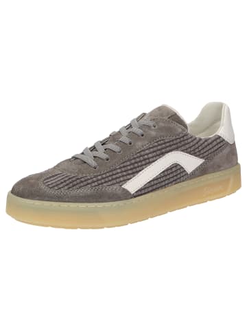 Sioux Sneaker Tedroso-DA-714 in grau
