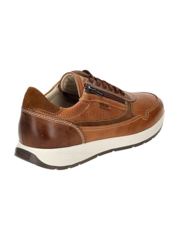Pikolinos Sportliche Schnürschuhe in Braun