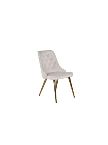 ebuy24 Esszimmerstuhl VelvetDeluxe Beige 2er Set