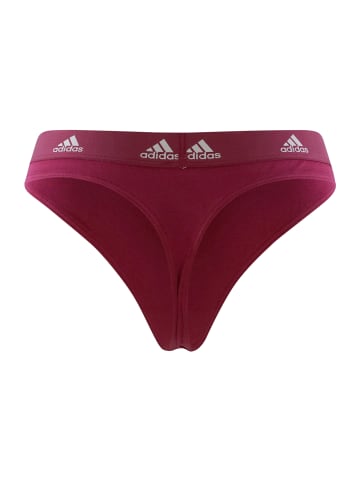 adidas Tanga Realasting Cotton in Bordeaux