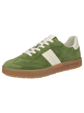 Sioux Sneaker Tedroso-DA-717 in grün
