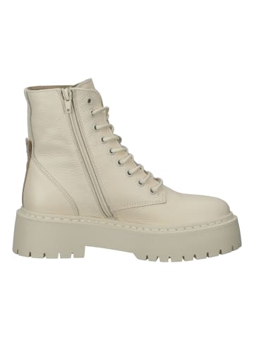 Steve Madden Stiefelette in Bone