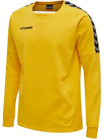 Hummel Sweatshirt Raglanärmel Hmlauthentic Herren in SPORTS YELLOW