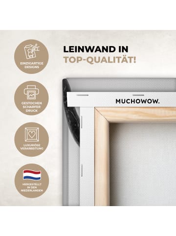 MuchoWow Leinwand bilder Schottisches Hochlandrind (BxH)